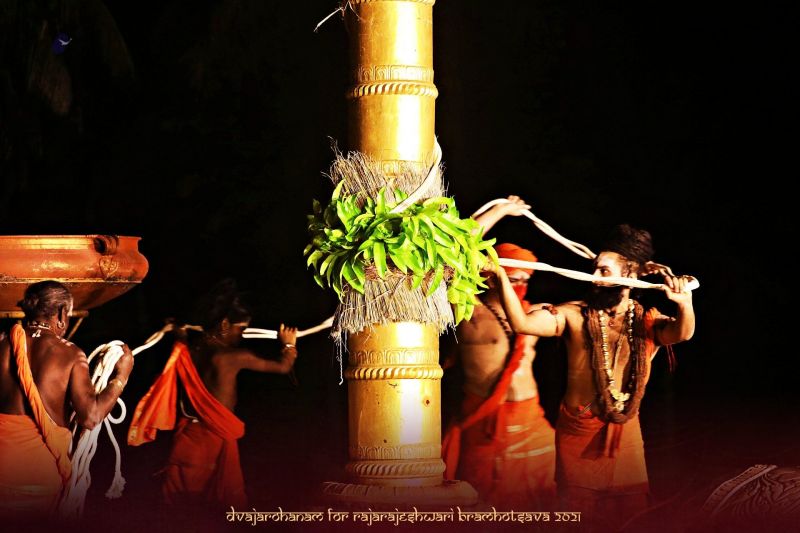 File:20210217 1055 149608351 FB.jpg