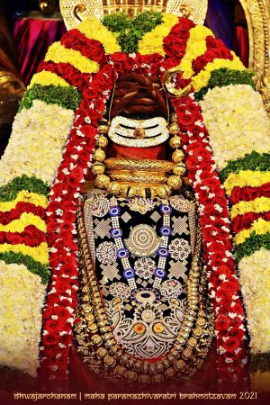 20210307 1022 157960085 FB.jpg