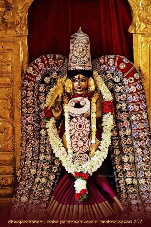 20210307 1034 158274853 FB.jpg