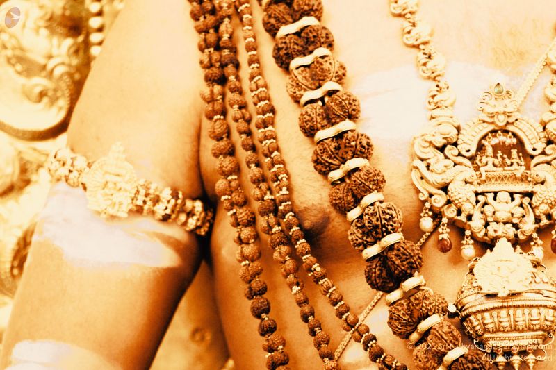 File:20210311 1027 159904926 FB.jpg