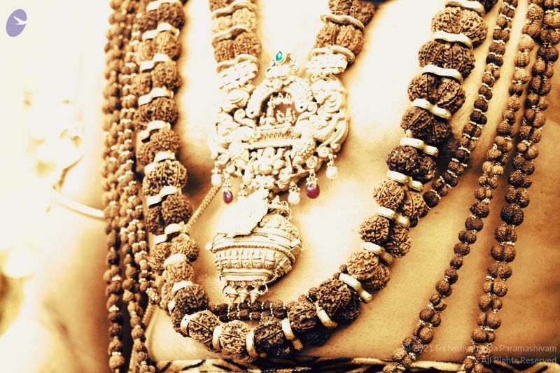 File:20210315 1005 160661578 FB.jpg