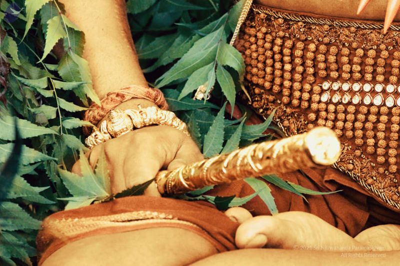 File:20210428 1009 179310062 FB.jpg