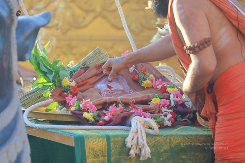 File:20210517 1052 187321388 FB.jpg