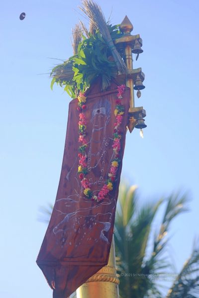 File:20210517 1055 186519046 FB.jpg