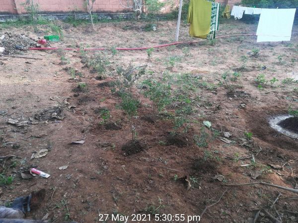 20210531 1028 191893157 FB.jpg