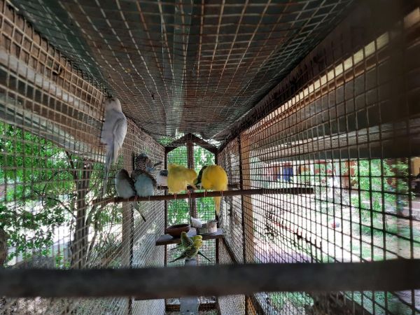 20210531 1063 194079936 FB.jpg