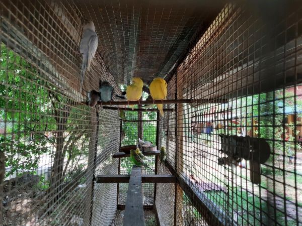 20210531 1064 191883259 FB.jpg