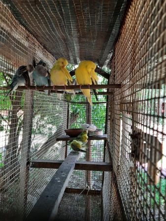 20210531 1065 193531893 FB.jpg