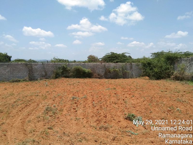 File:20210601 1041 191712768 FB.jpg