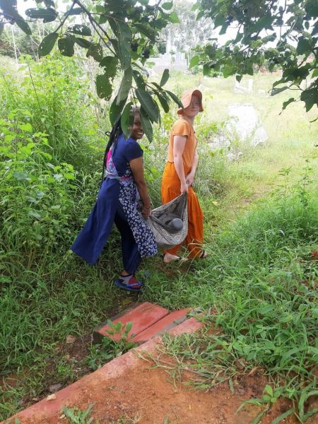 File:20210601 1053 192228090 FB.jpg