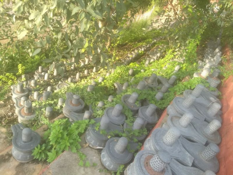 File:20210601 1080 192020665 FB.jpg