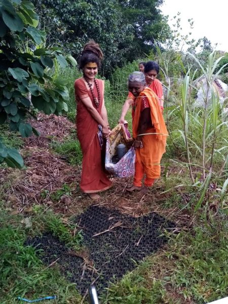 File:20210601 1083 192150124 FB.jpg