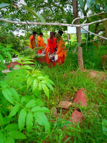 File:20210601 1100 192166393 FB.jpg