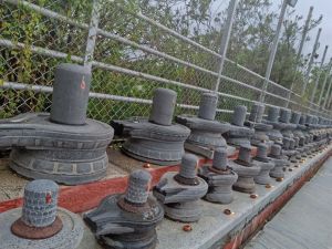 20210601 1147 191703841 FB.jpg