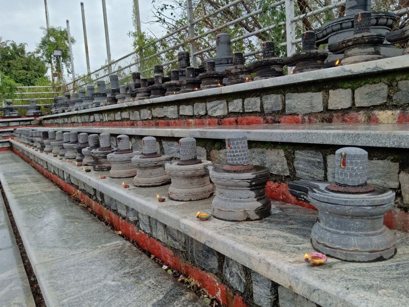 File:20210601 1158 191842520 FB.jpg