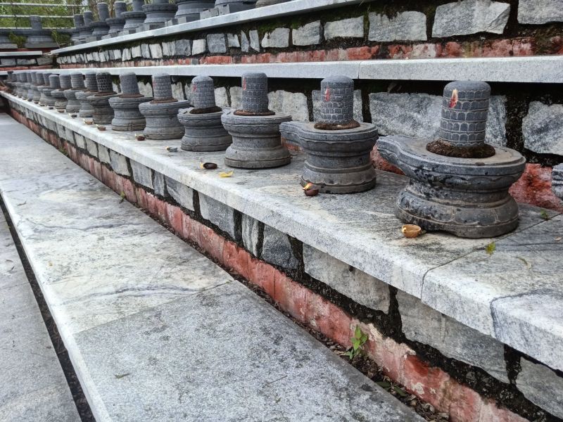 File:20210601 1162 191815536 FB.jpg