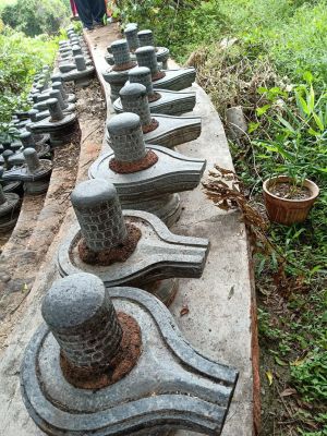 20210601 1164 191476533 FB.jpg