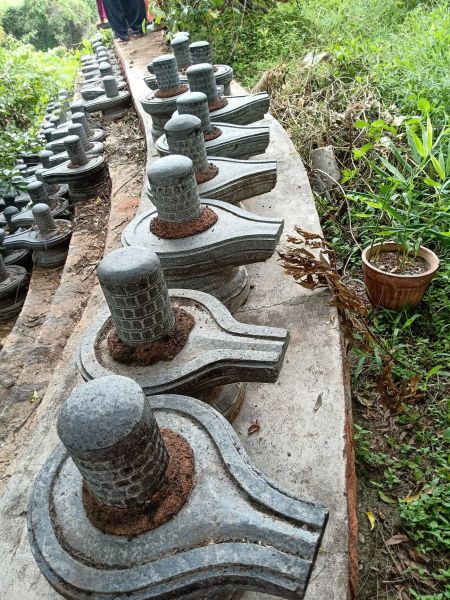 File:20210601 1164 191476533 FB.jpg