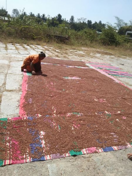 File:20210601 1177 191712768 FB.jpg