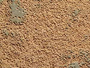 20210601 1181 192170698 FB.jpg