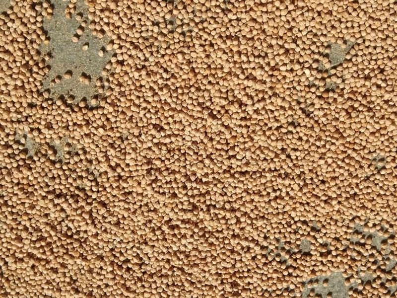 File:20210601 1181 192170698 FB.jpg