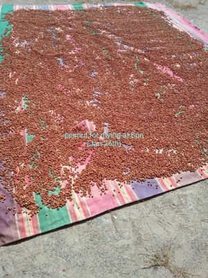 20210601 1184 191665721 FB.jpg