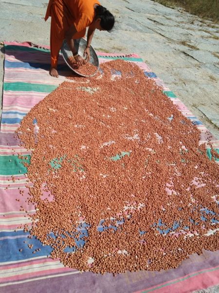 File:20210601 1185 191941208 FB.jpg