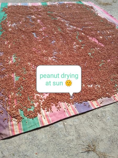 File:20210601 1186 192496656 FB.jpg