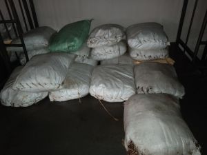 20210601 1202 192170698 FB.jpg