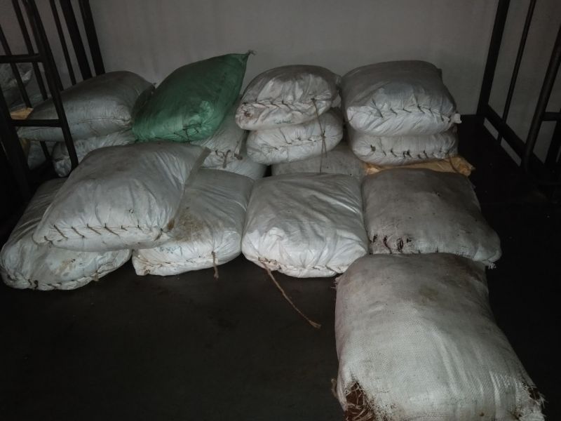 File:20210601 1202 192170698 FB.jpg