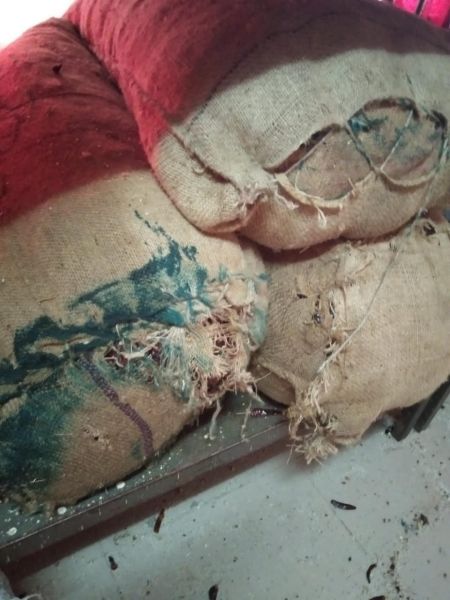 File:20210601 1206 191946966 FB.jpg