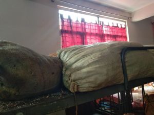 20210601 1207 192506745 FB.jpg