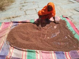 20210601 1220 191669920 FB.jpg