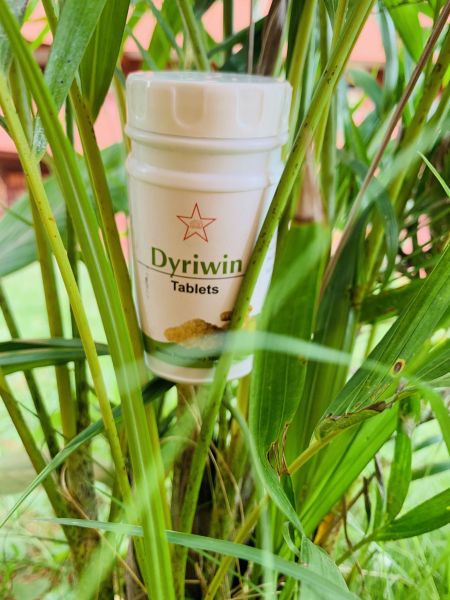 File:20210601 1230 129437051 FB.jpg