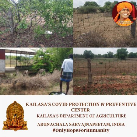 20210609 1021 195502594 FB.jpg