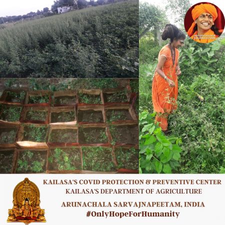 20210609 1027 196203418 FB.jpg