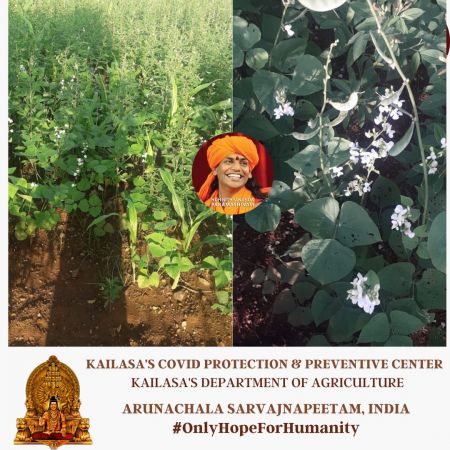 20210609 1028 195764985 FB.jpg