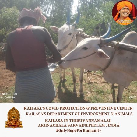 20210609 1052 196243783 FB.jpg