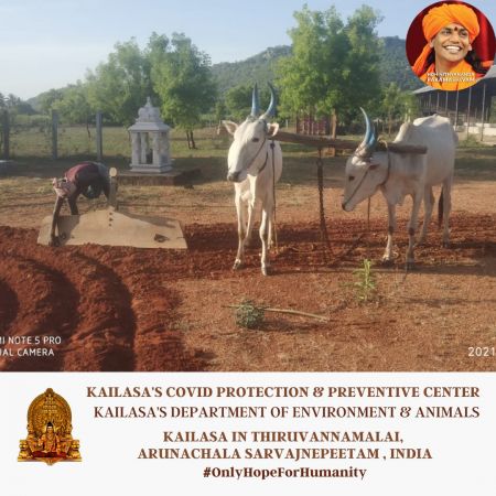 20210609 1058 195764986 FB.jpg