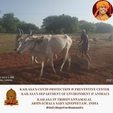 20210609 1059 196839239 FB.jpg