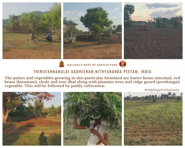 File:20210610 1000 196797184 FB.jpg