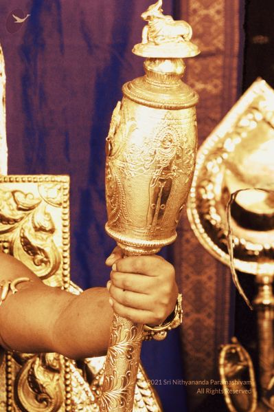 File:20210611 1001 199550082 FB.jpg