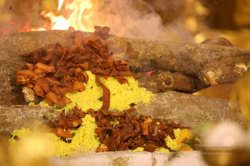 File:20210620 1082 200659290 FB.jpg