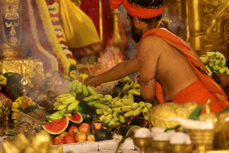 File:20210620 1096 200567300 FB.jpg