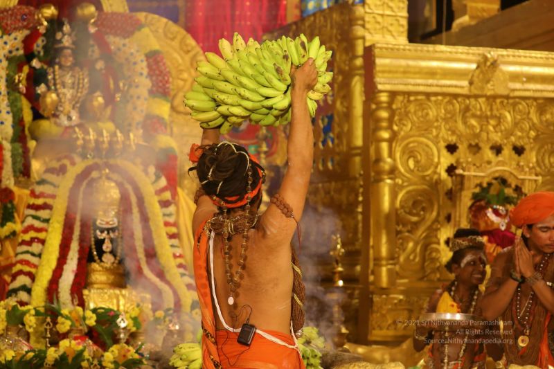 File:20210620 1097 201837372 FB.jpg