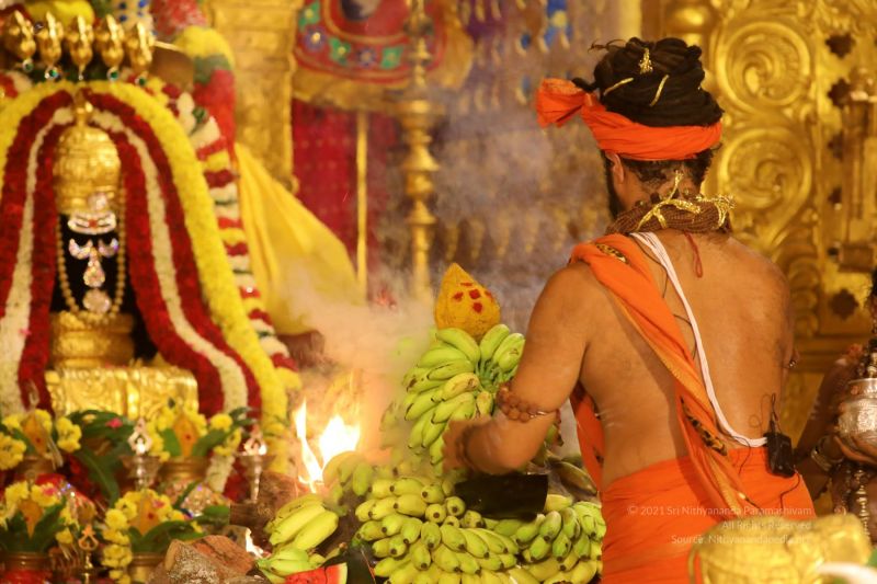 File:20210620 1102 201822553 FB.jpg