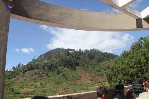 20210706 Photo 1101 18HLpPsxRN1-B6mEaEV90TFmEkqnrDn9l.JPG