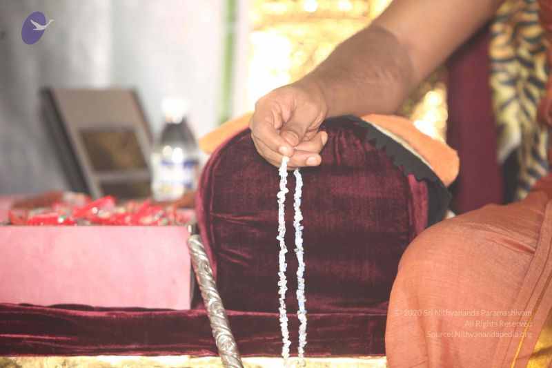 File:20210706 Photo 1170 1lrgGe48tMUzTHfvwR MxsXqcFERXtaLm.JPG