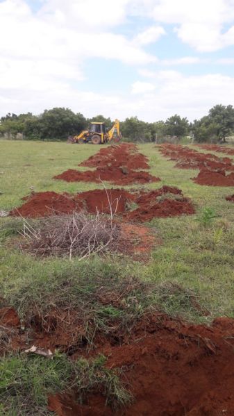 File:20210909 Kacharapattu1.jpeg