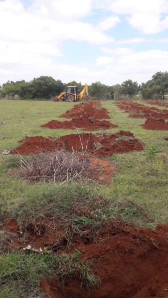 File:20210909 Kacharapattu2.jpeg